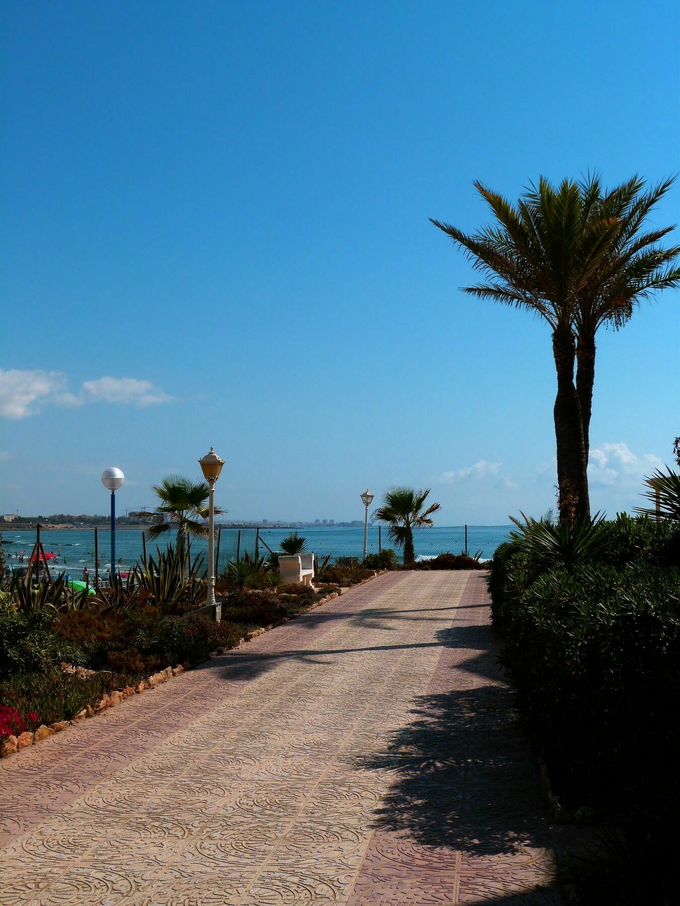 Shoal Orihuela