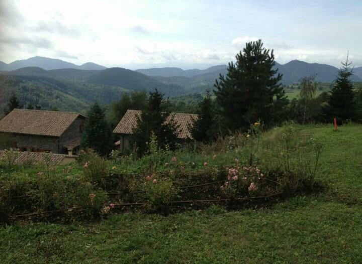 Mollo, Vall De Camprodon Holiday home