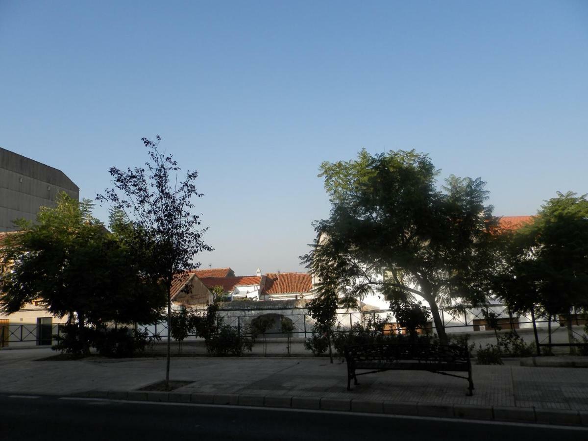 Apartamento El Olivar Caces