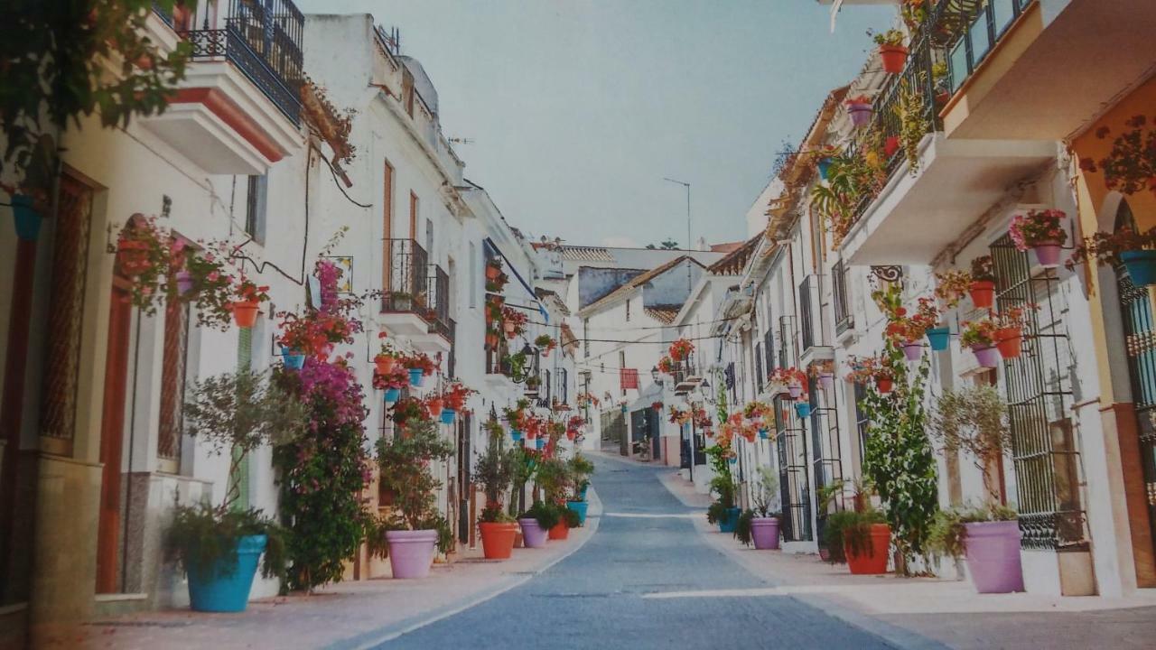 Estepona, En Primera Linea De Playa * Estepona