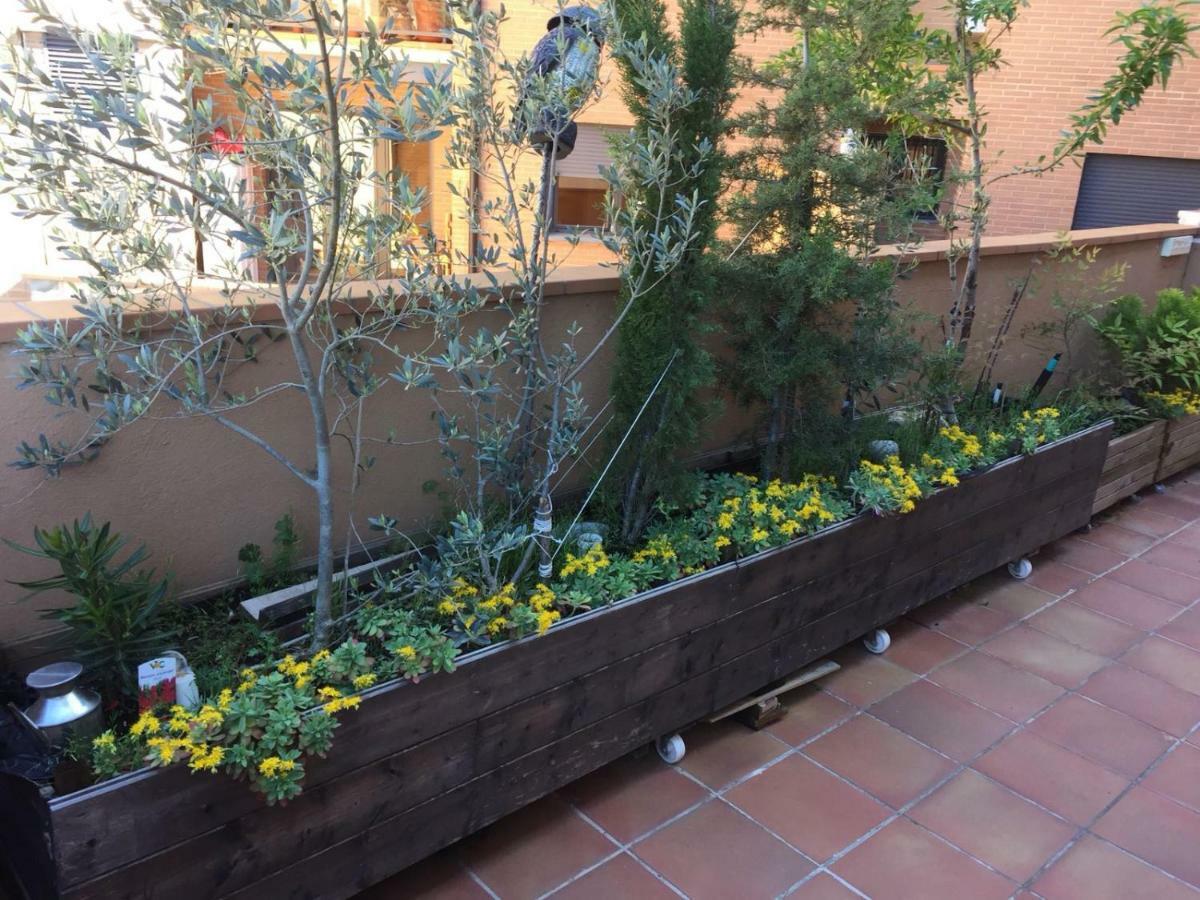 Biok Ordesa-monte Perdido' Apartamento Aínsa
