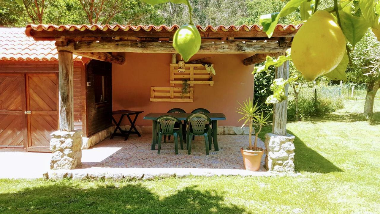 Holiday home Os Salguieiros