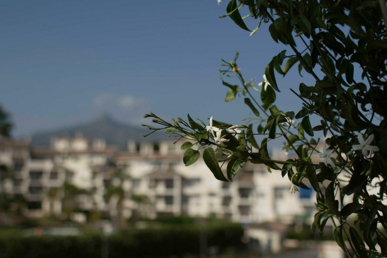 Cozy Banús * Marbella