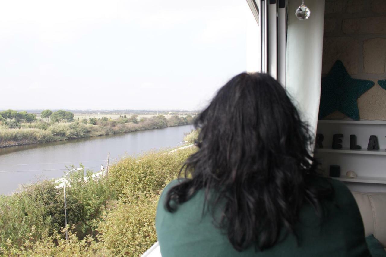 Ventana A La Naturaleza *