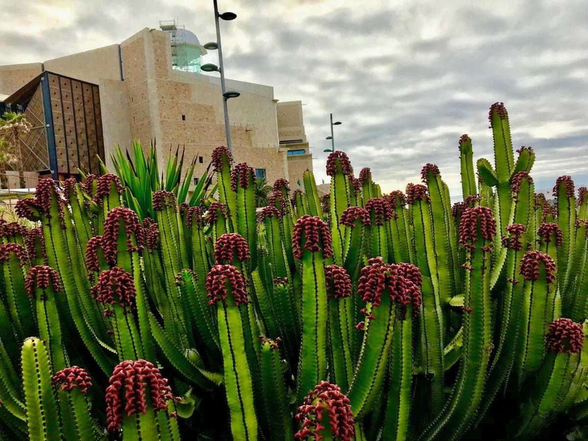 Apartamento Canary Islands Holidays Las Palmas de Gran Canaria