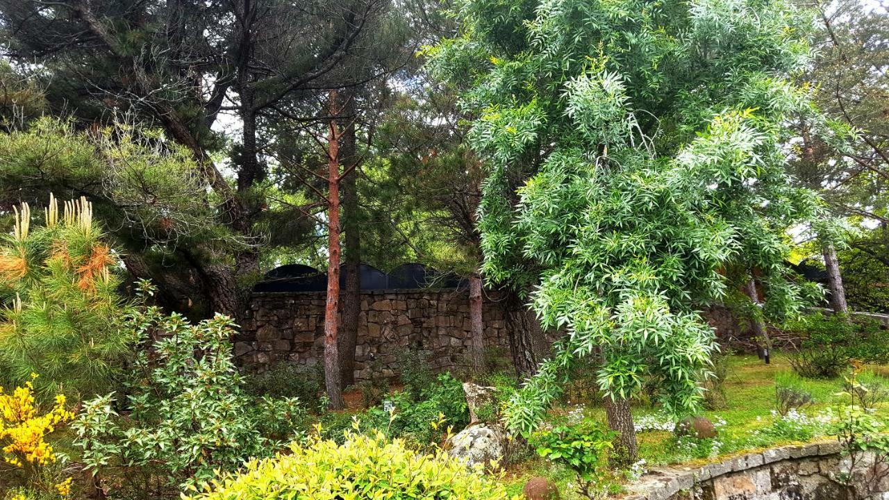 Holiday home Casa Bonita *