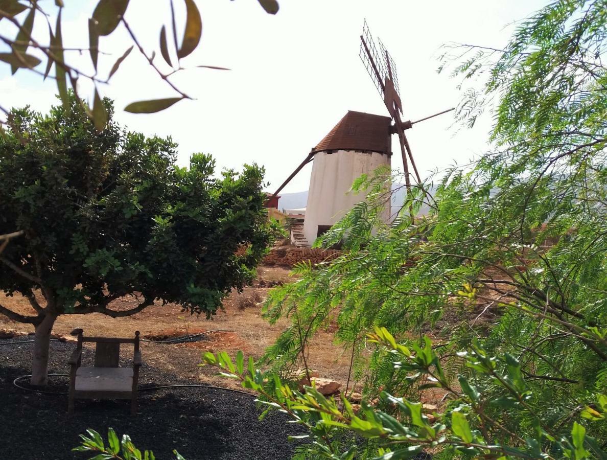 Casita Rural Molino De La Corte Casa rural Antigua (Fuerteventura)