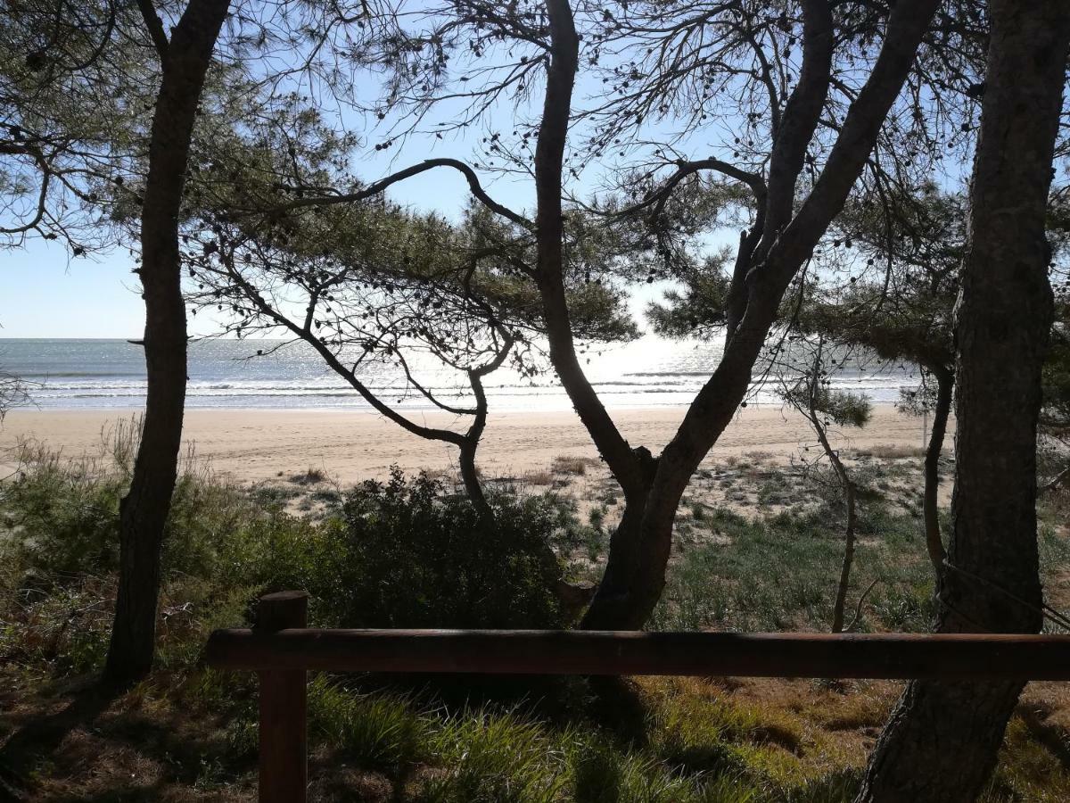 Arenas * Alcossebre