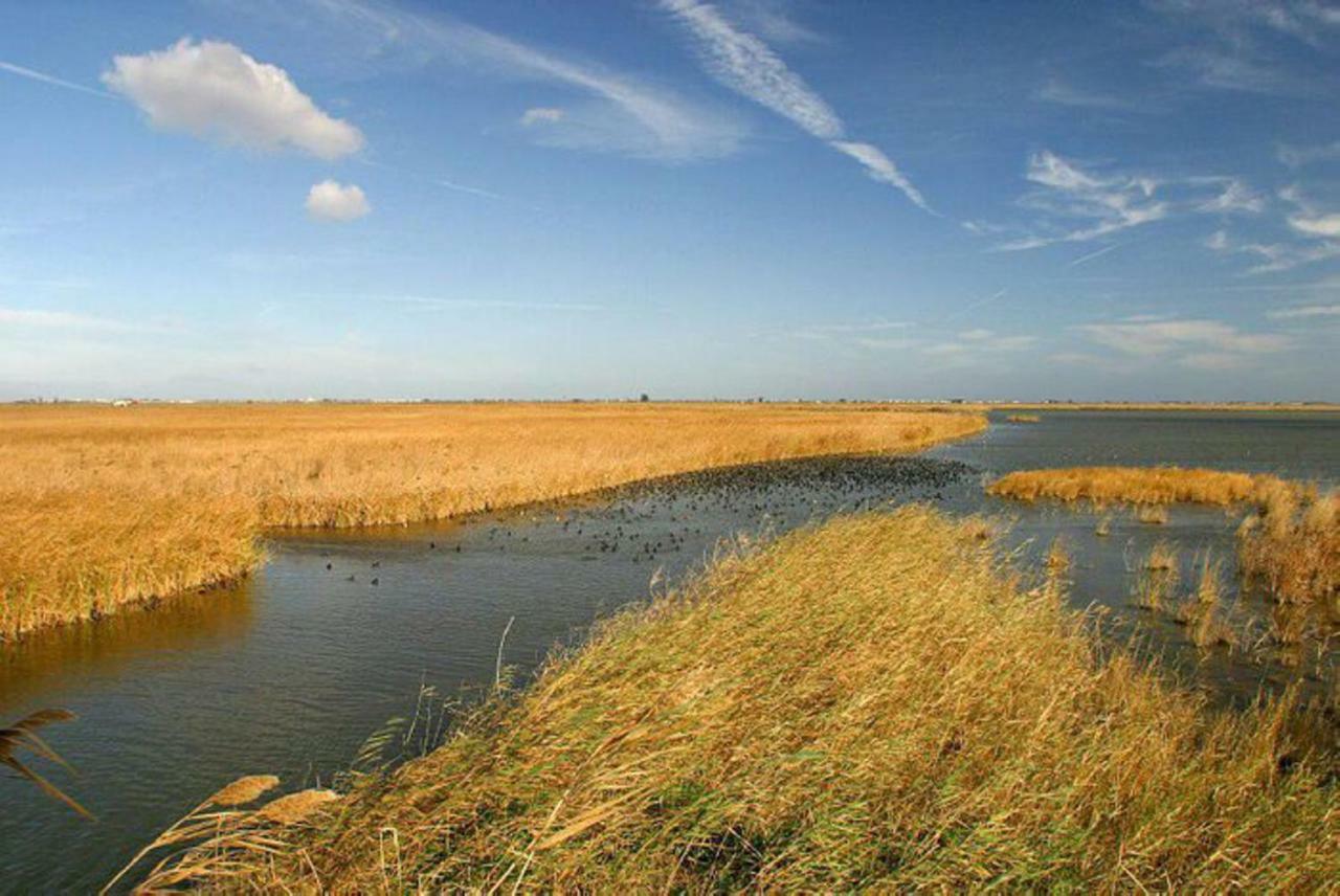 Mi En El Delta Del Ebro+