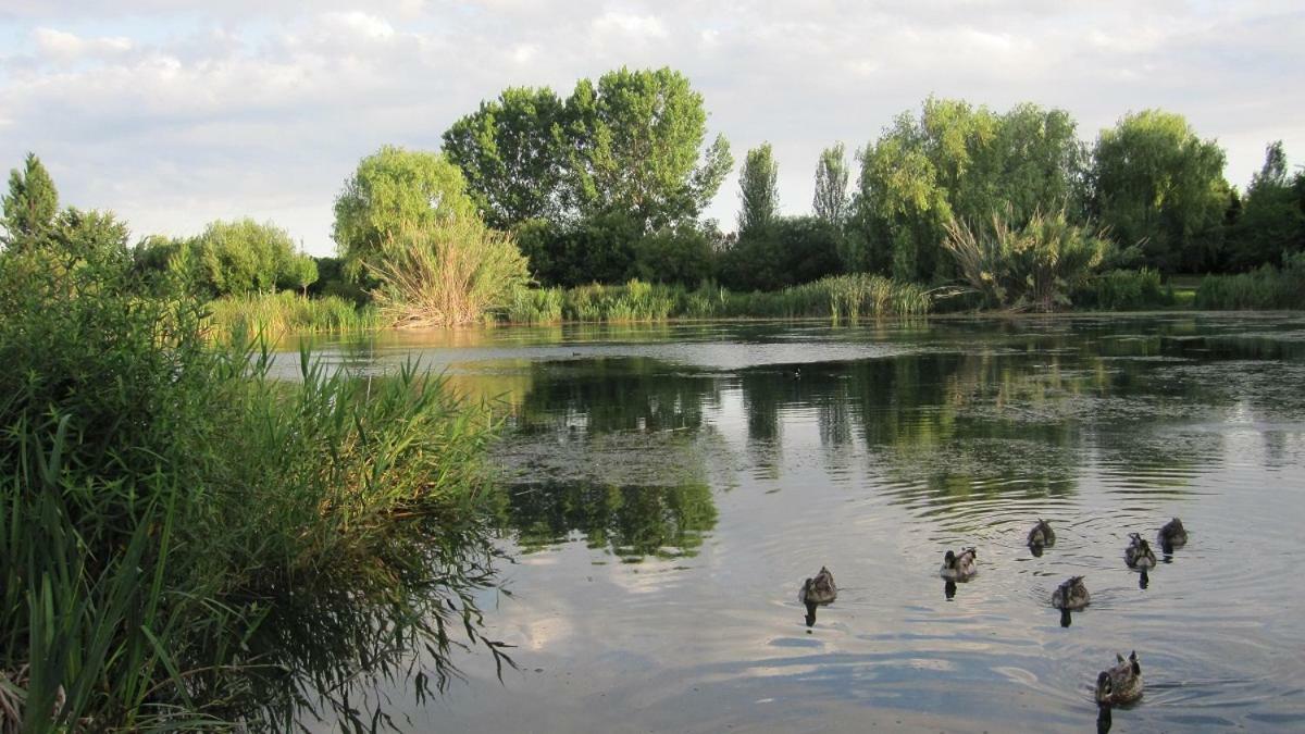 Apartamento Apartamento Con Piscina Y Parking
