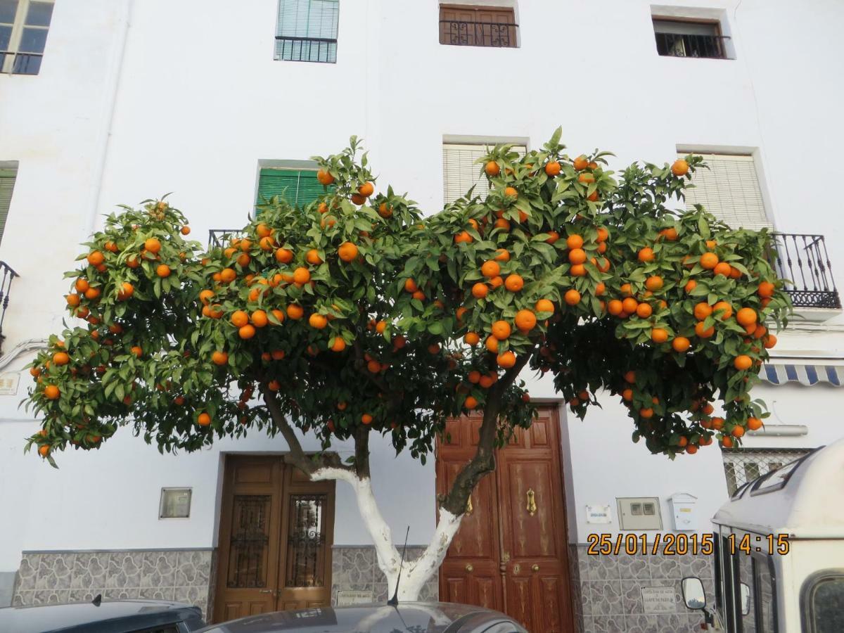 Casa Merengue *