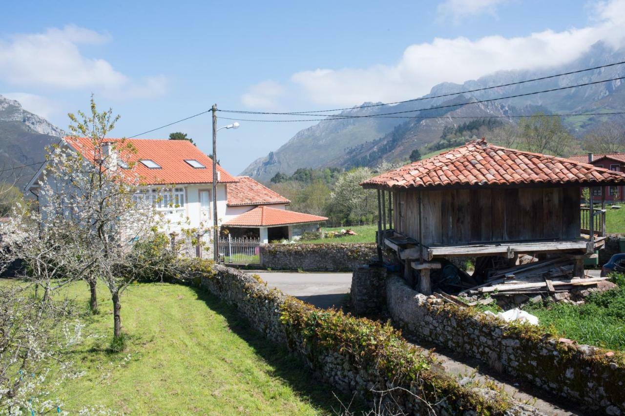 Candiles * Cangas de Onis