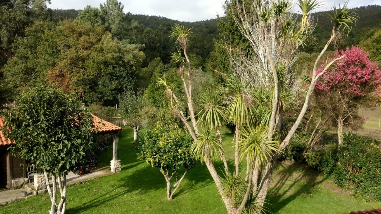 Holiday home Os Salguieiros