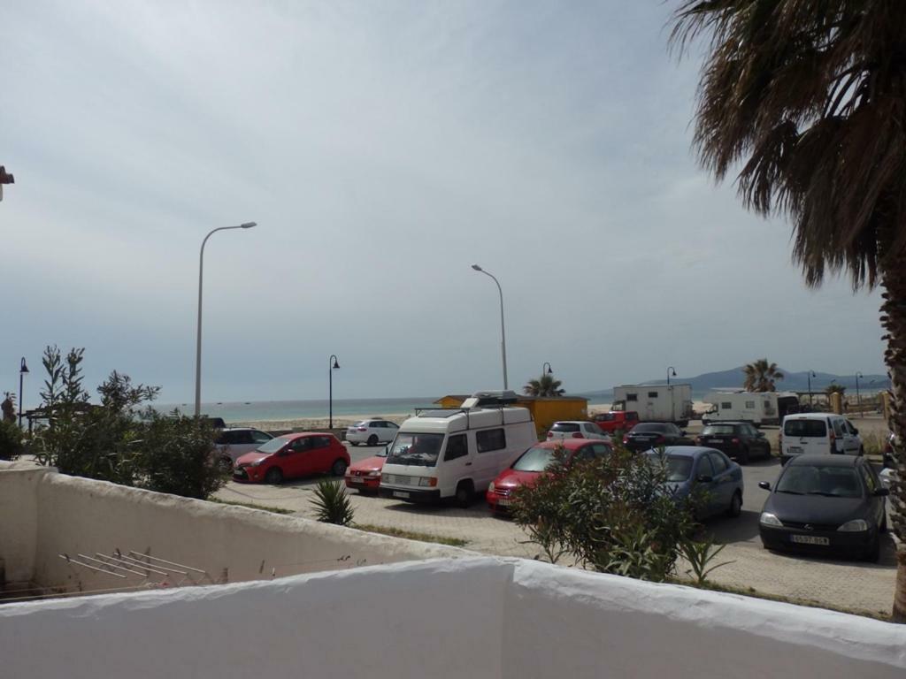 Cañas Luisa Tarifa