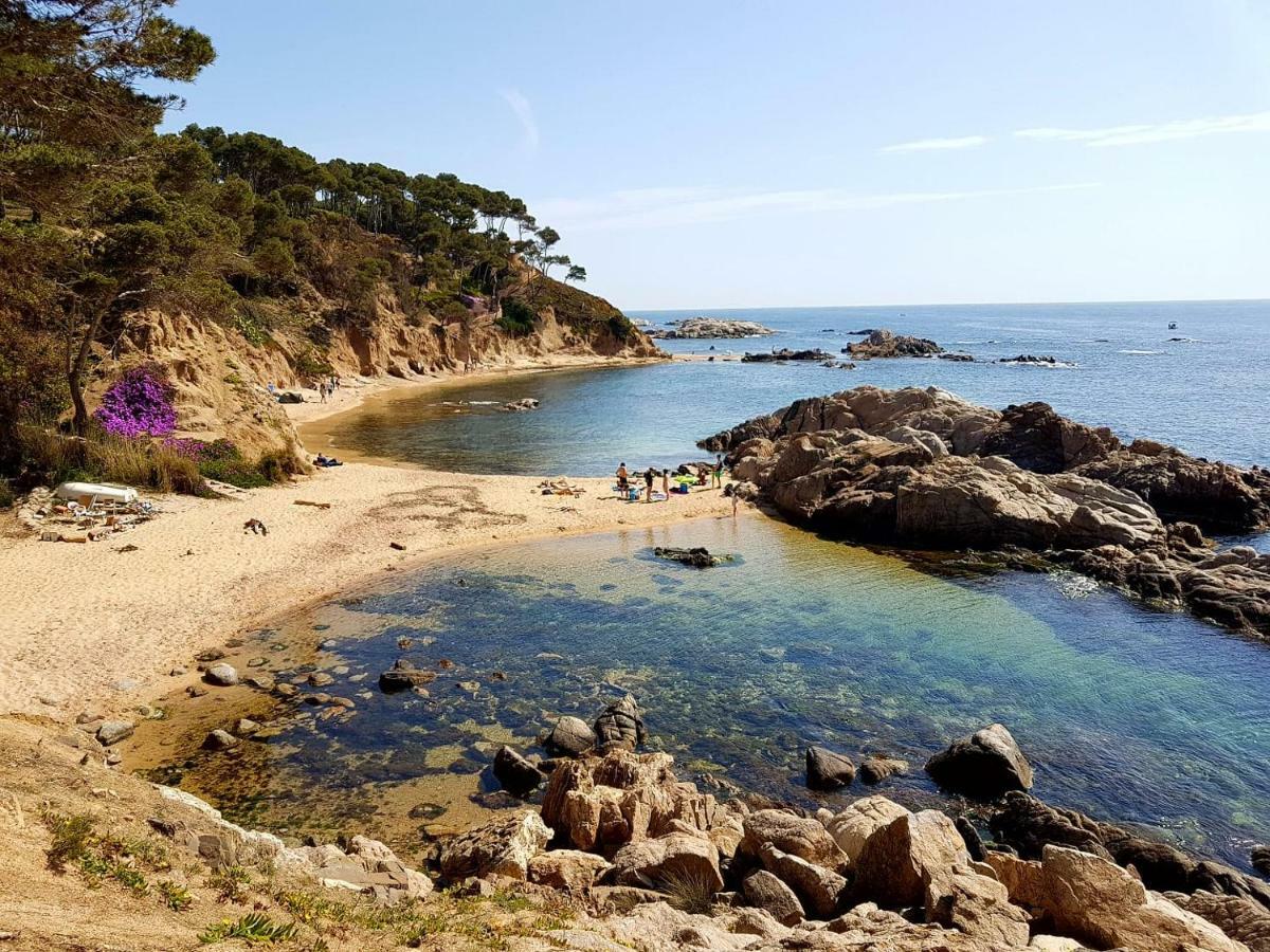 Superior Garoina Palamos