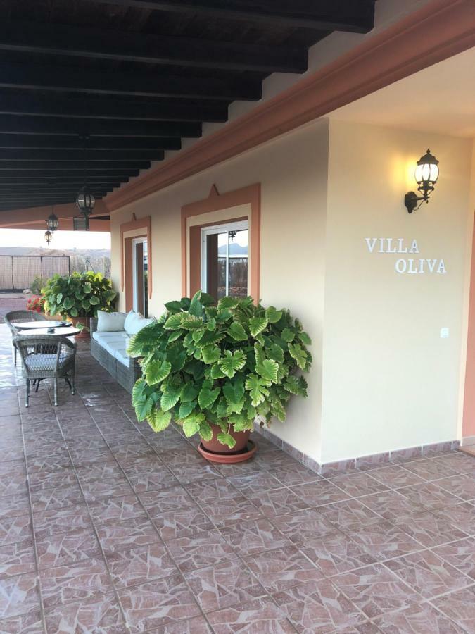 Oliva Fuerteventura *