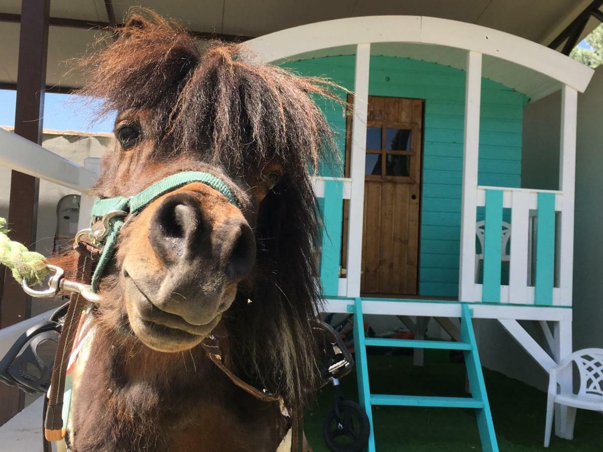 Hearts & Ponies Con Piscinas Privadas Cerca De La Warner