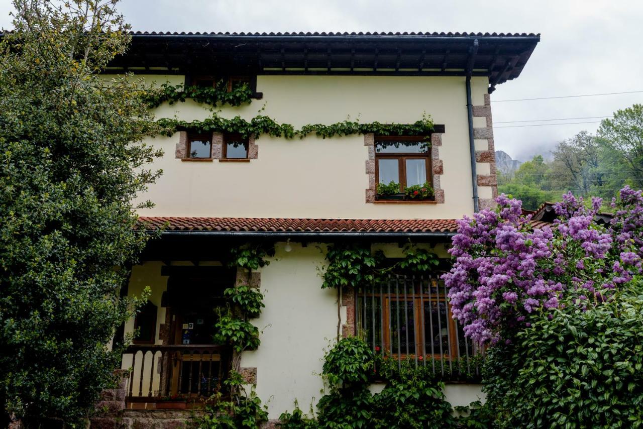 Hotel Rural Picos De Europa 3*
