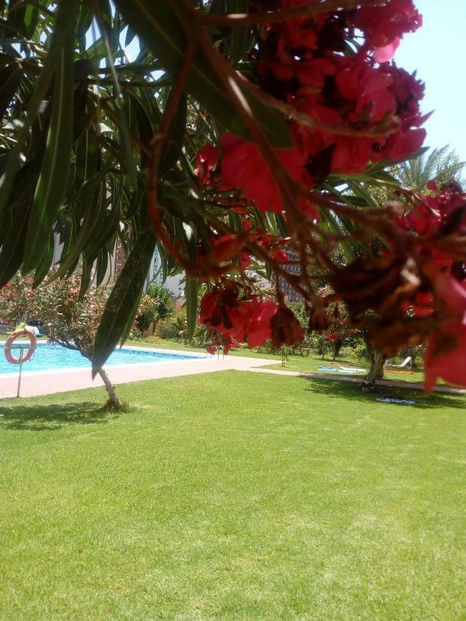 Studio Hannibal 1 Apartment Cala de Finestrat