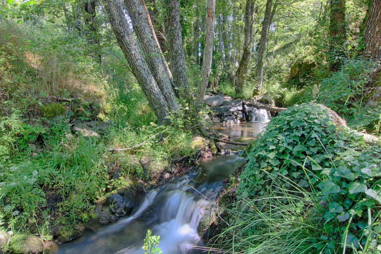 Bed & Breakfast Rural Casa Alfayales-only Adults 3*