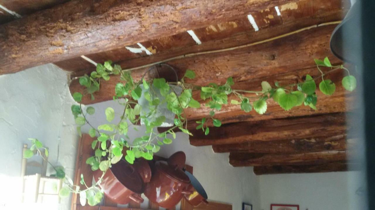 La Casa De La Acequia Serón