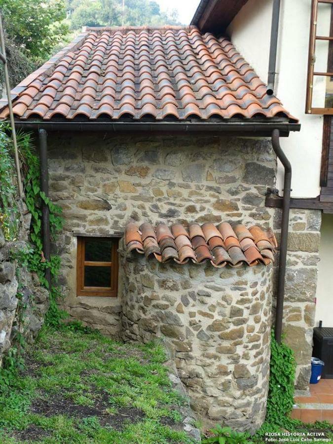 Apartamento Casona Angliru Riosa