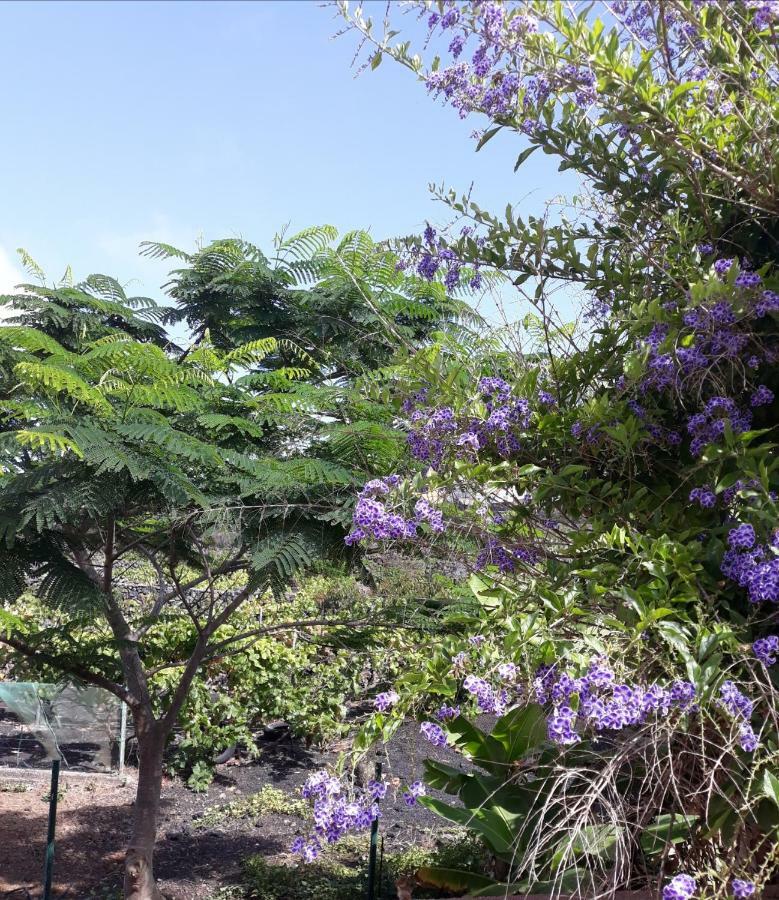 Casa Girdana Holiday home