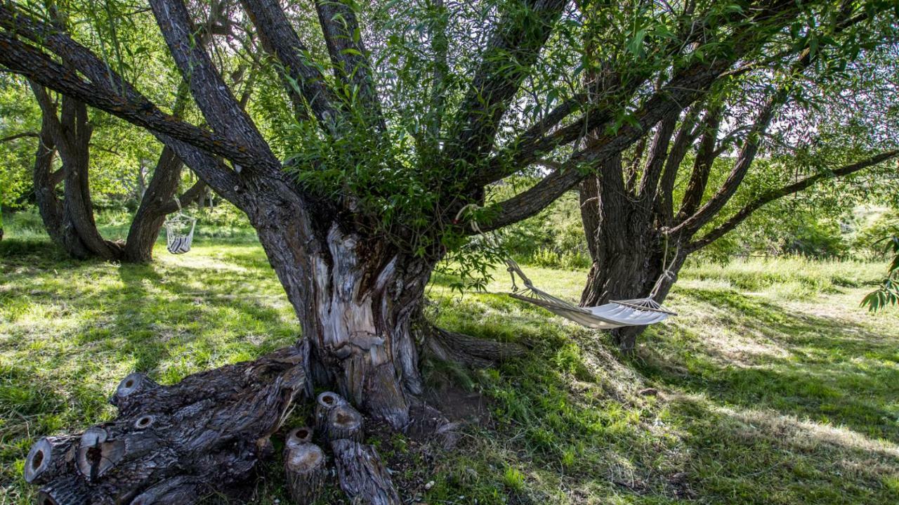 Masia El Cabrero Country house