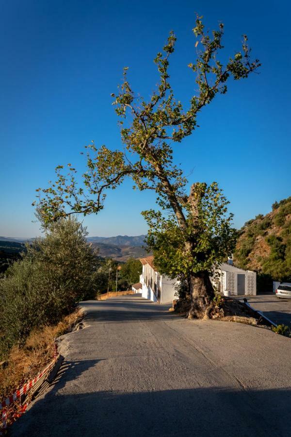 Deseada Bed & Breakfast