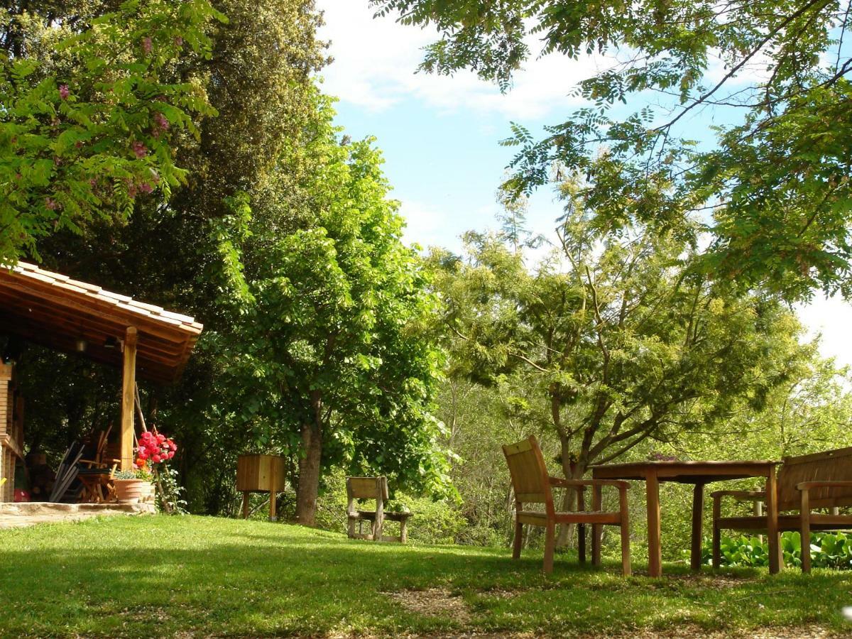 Mas El Bosquet Holiday home *
