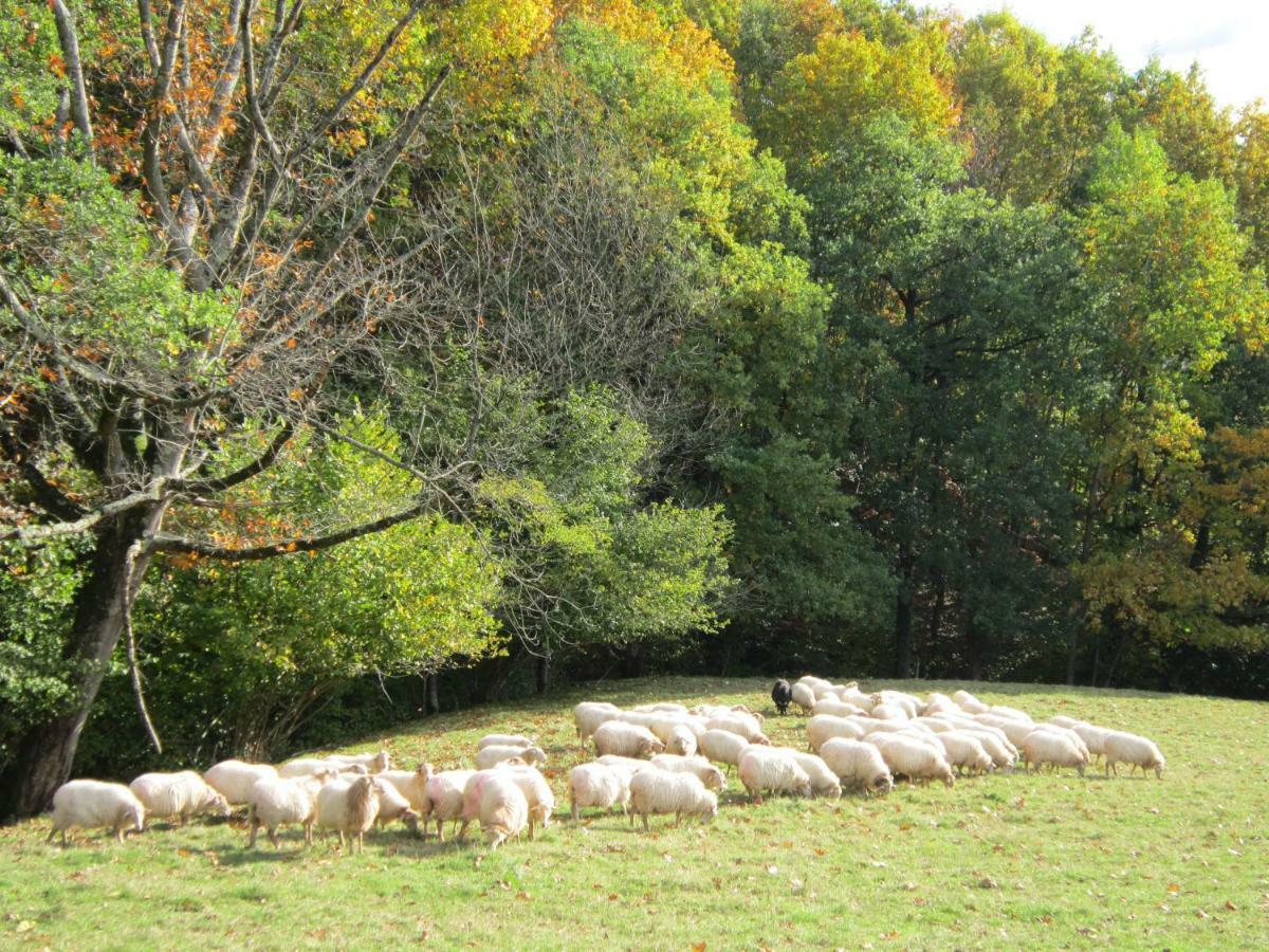 Lakoizketa Casa rural