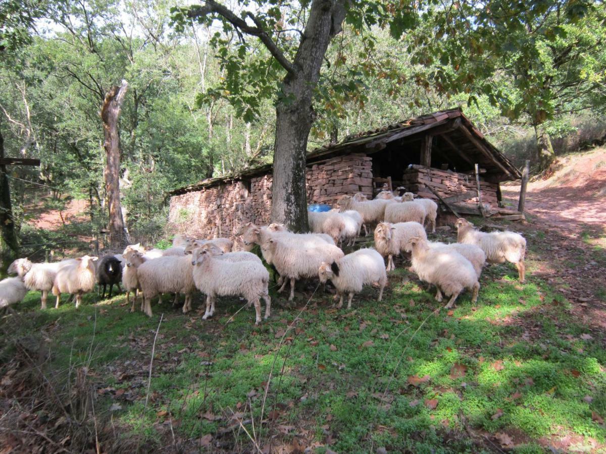 Lakoizketa Casa rural *