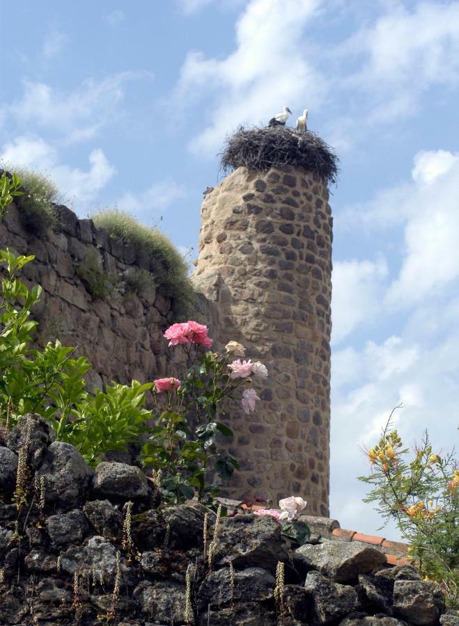 Cr.ciudad De Verdeoliva