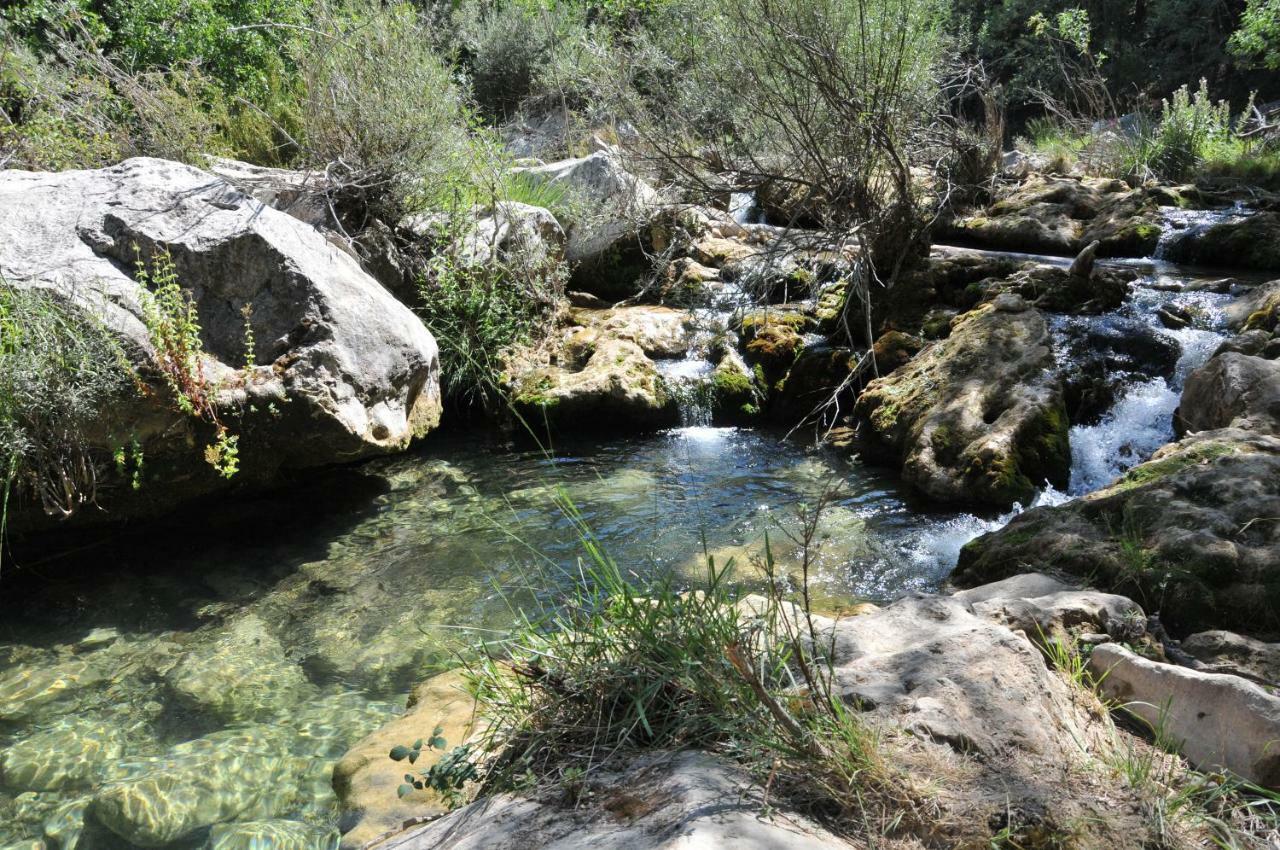 Ariosa Arroyo Frio