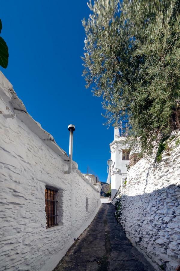 Casa La Parra *