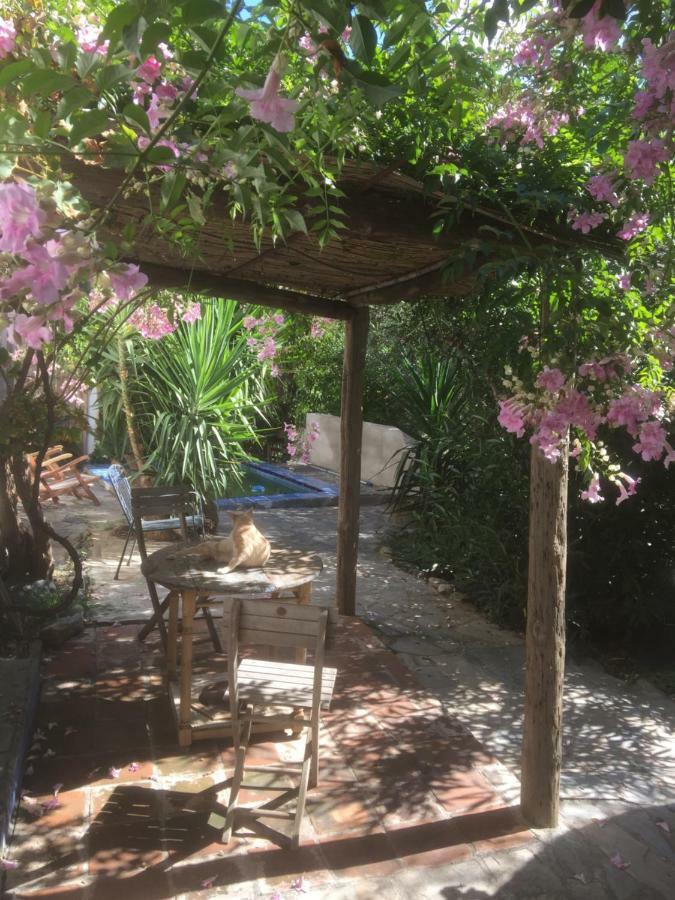 Rincon De Jaramuza Orgiva
