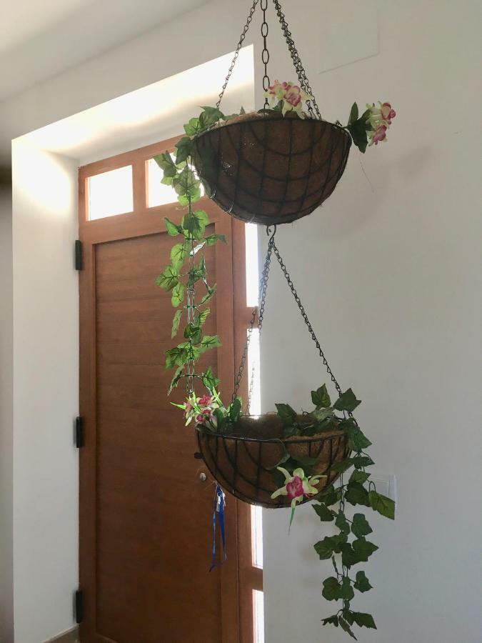 Finca La Vega Zamora