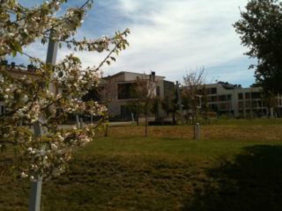 Apartment Alta Montana - Golf & Relax - Pirineo De Huesca - Valle De Tena *
