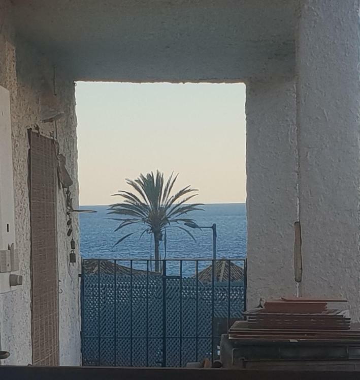 Apartment La Gaviota 13