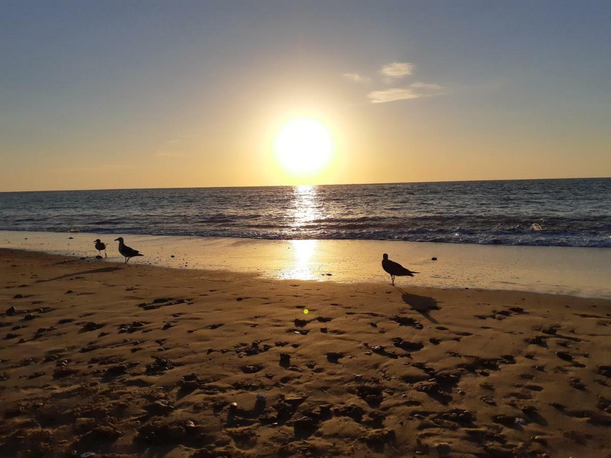 La Gaviota