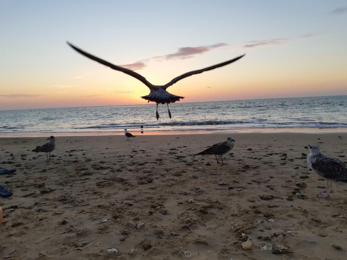 La Gaviota Chipiona