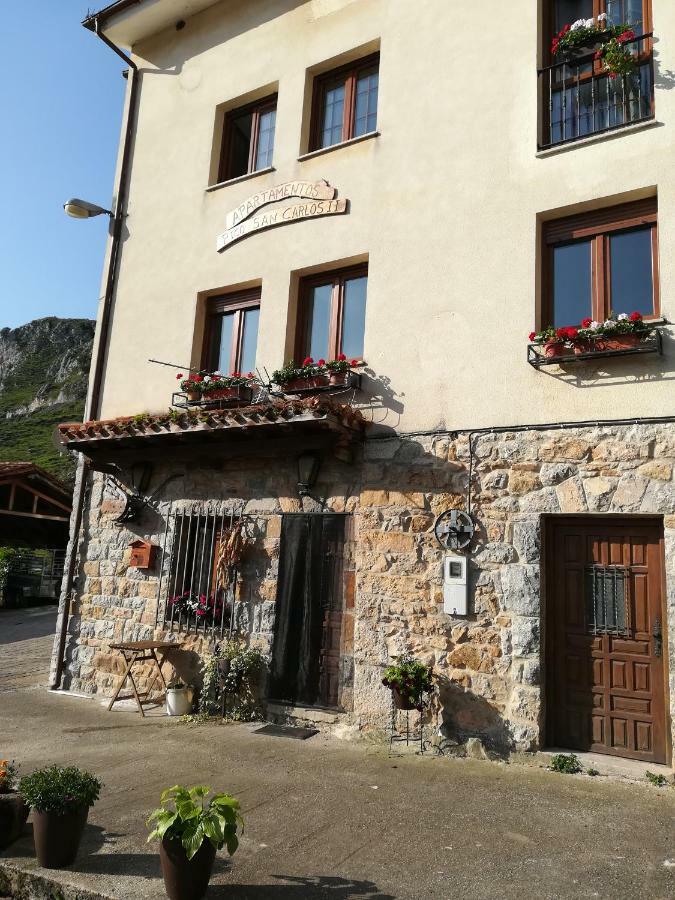 Pico San Carlos Ll Apartamento