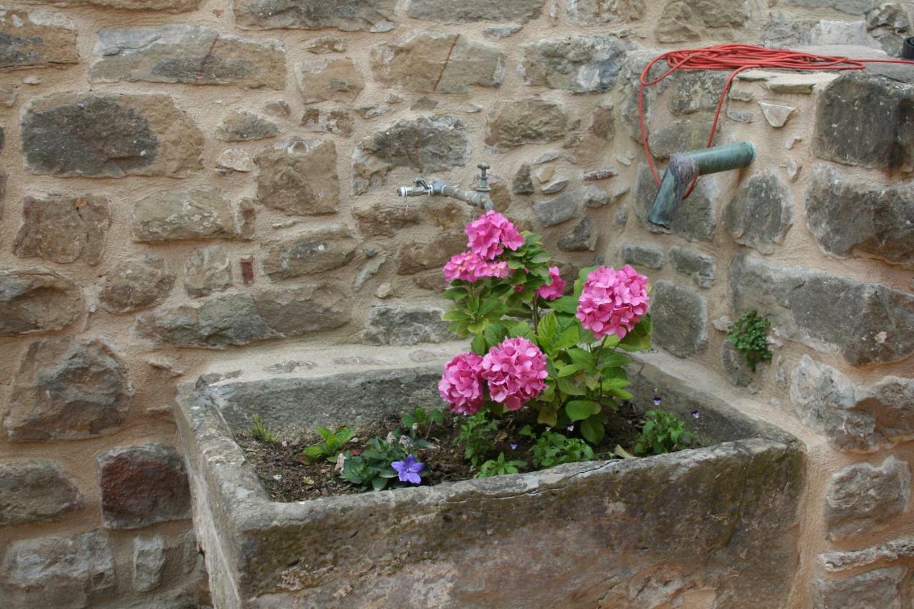 Casa rural Mas Tulsa Girona Riudellots de la Creu
