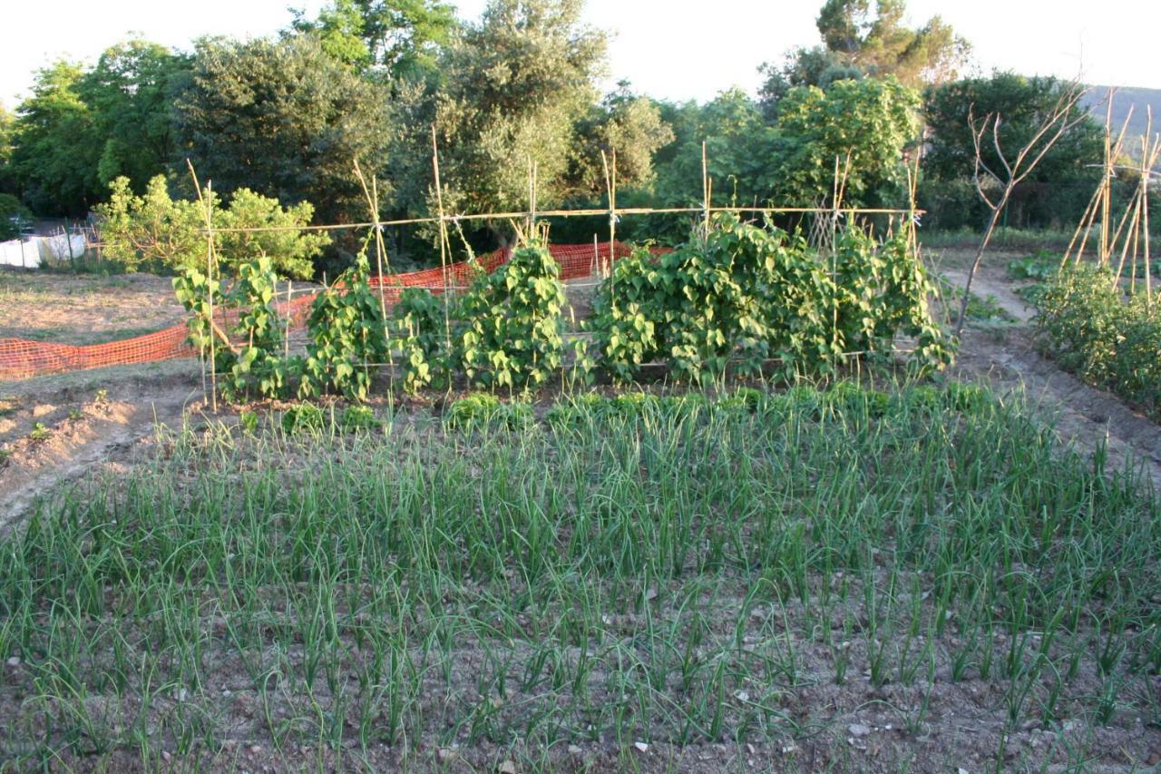 Mas Tulsa Girona * Riudellots de la Creu