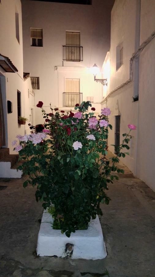 Casa Amaro