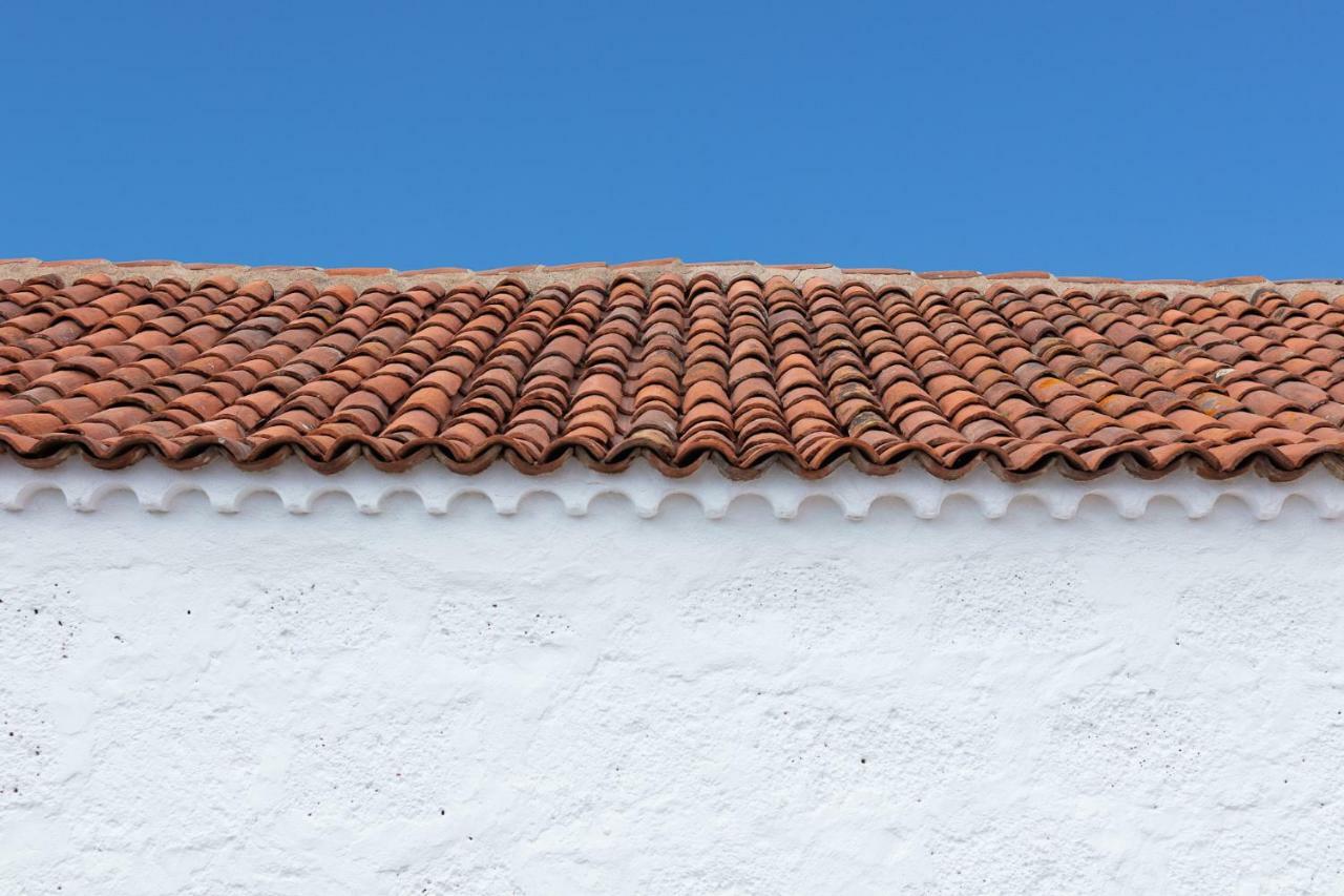 El Sitio De La Casa * Arico el Nuevo