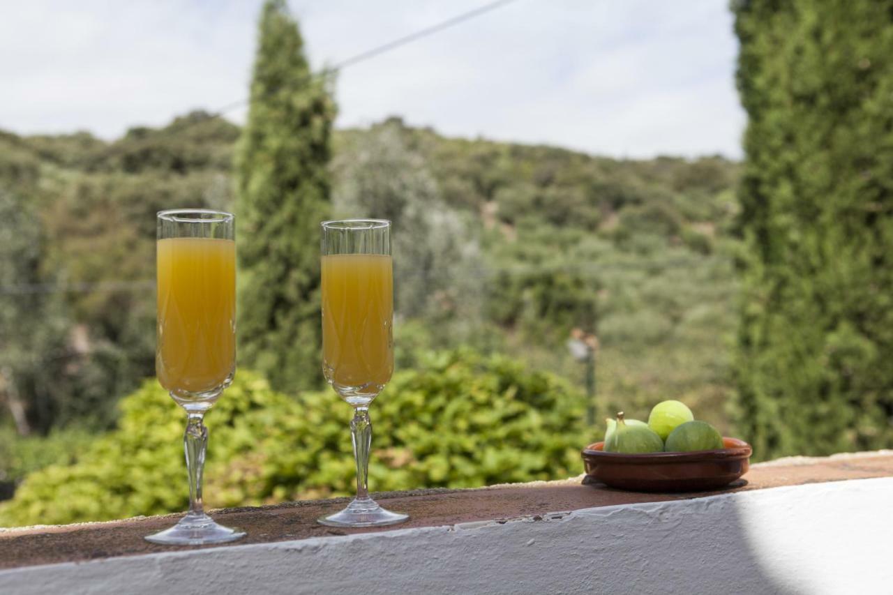 Cortijo La Algallumbilla Holiday home