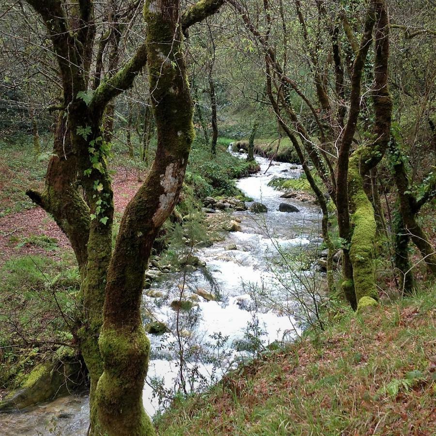 Mar Y Montana En Rias Baixas Holiday home