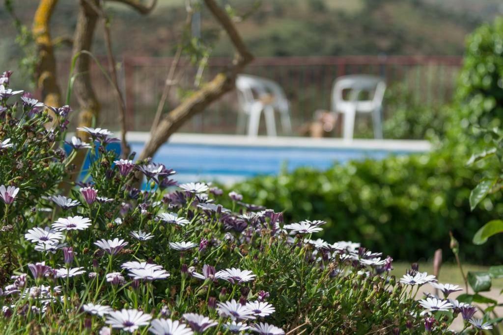 Rural El Puerto Mayordomo Holiday home *