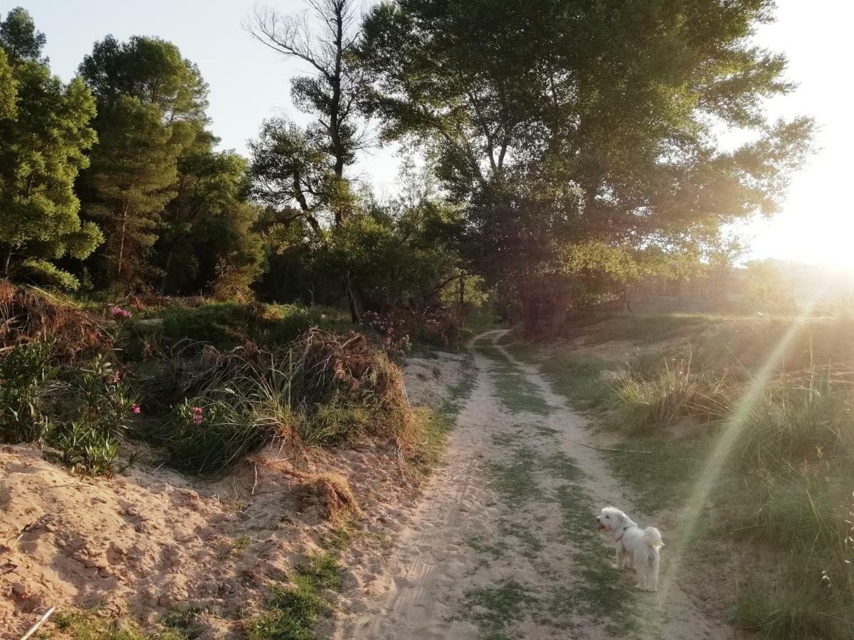 Casa rural E Puente Del Segura